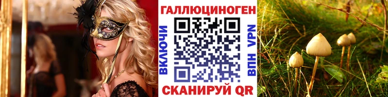 Купить  Тихорецк  Галлюциногенные грибы мицелий 